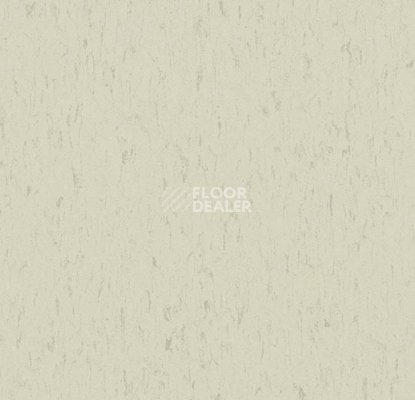 Линолеум Forbo Marmoleum Solid Piano 3650-365035 polar bear фото 1 | FLOORDEALER